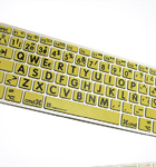Teclados